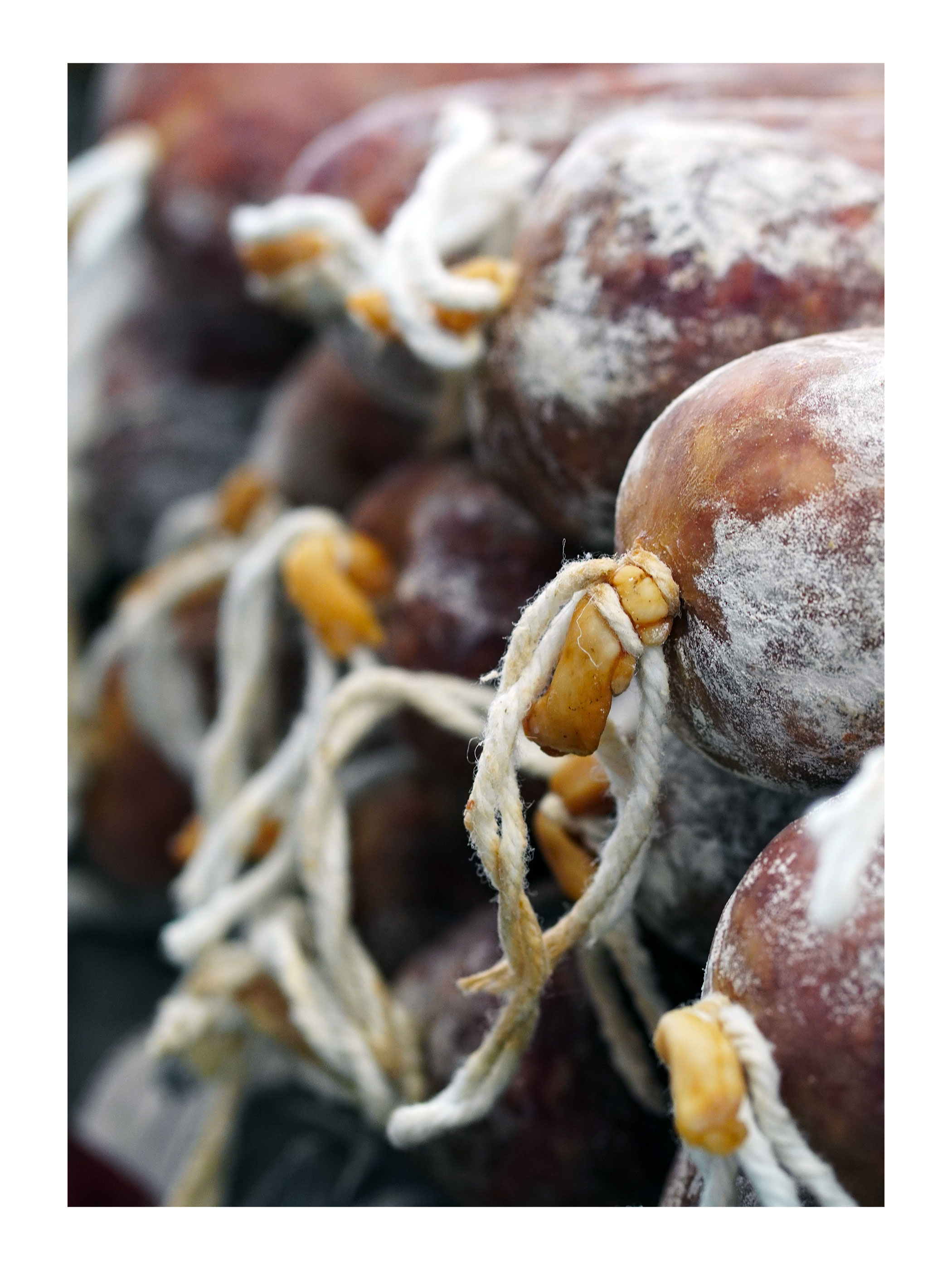 Foire Aux Fromages 2026 — 13/17